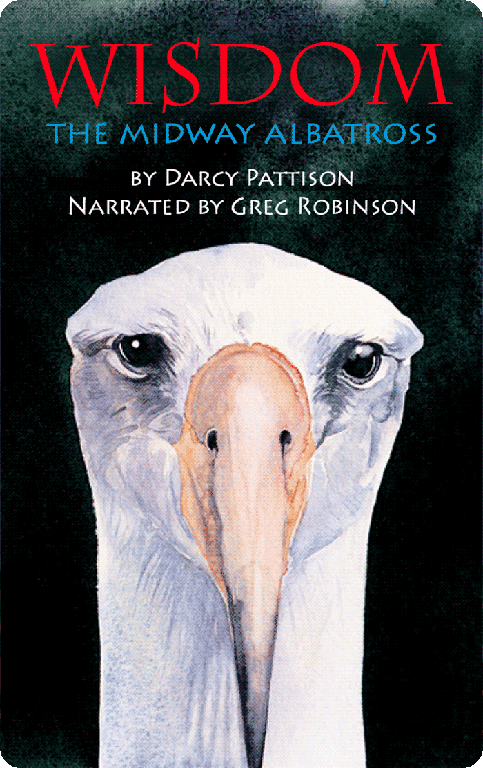 Wisdom, the Midway Albatross: Surviving the Japanese Tsunami and other Disasters for Over 60 Years (Digital)